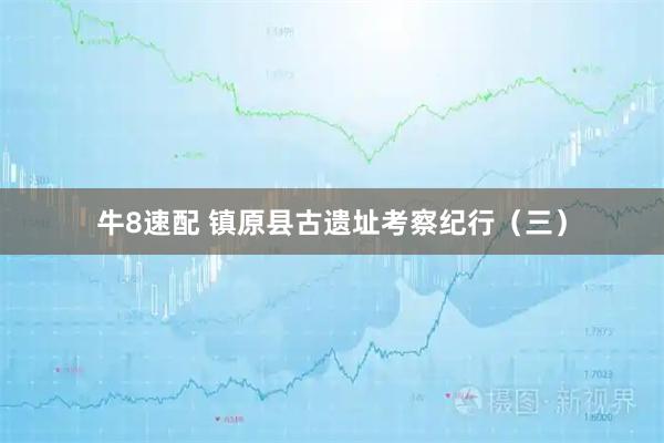 牛8速配 镇原县古遗址考察纪行（三）