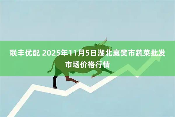 联丰优配 2025年11月5日湖北襄樊市蔬菜批发市场价格行情