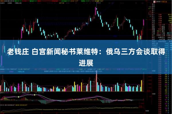 老钱庄 白宫新闻秘书莱维特：俄乌三方会谈取得进展